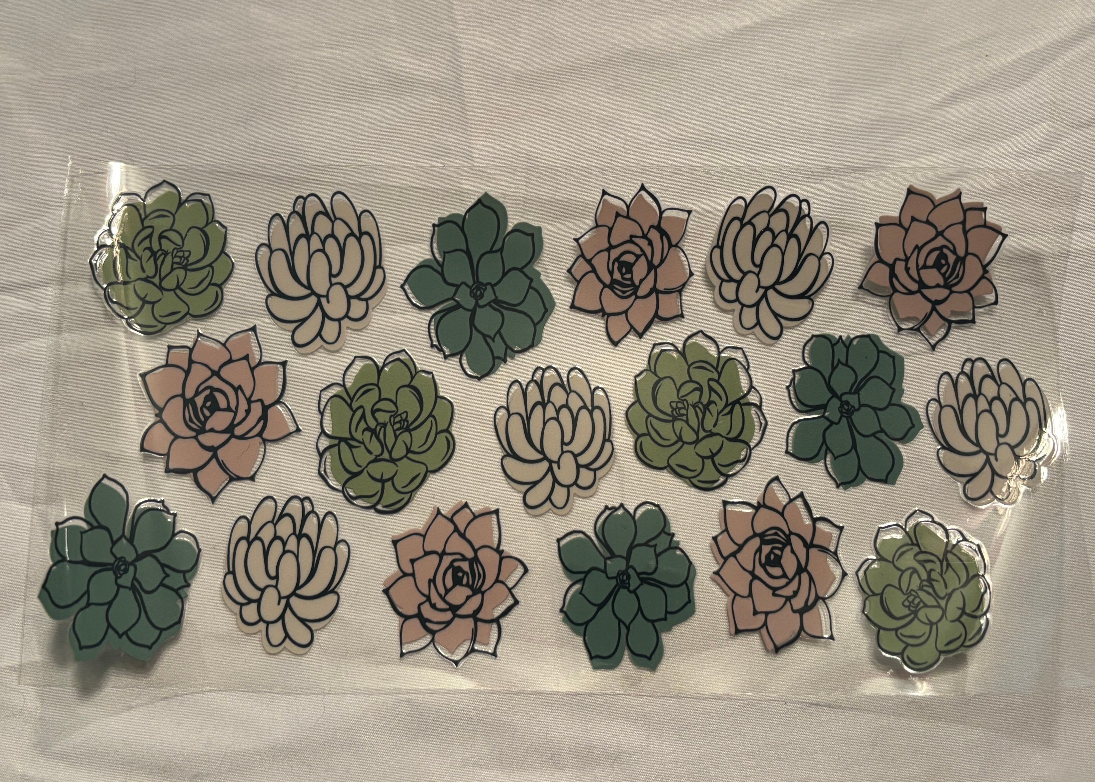 Succulents