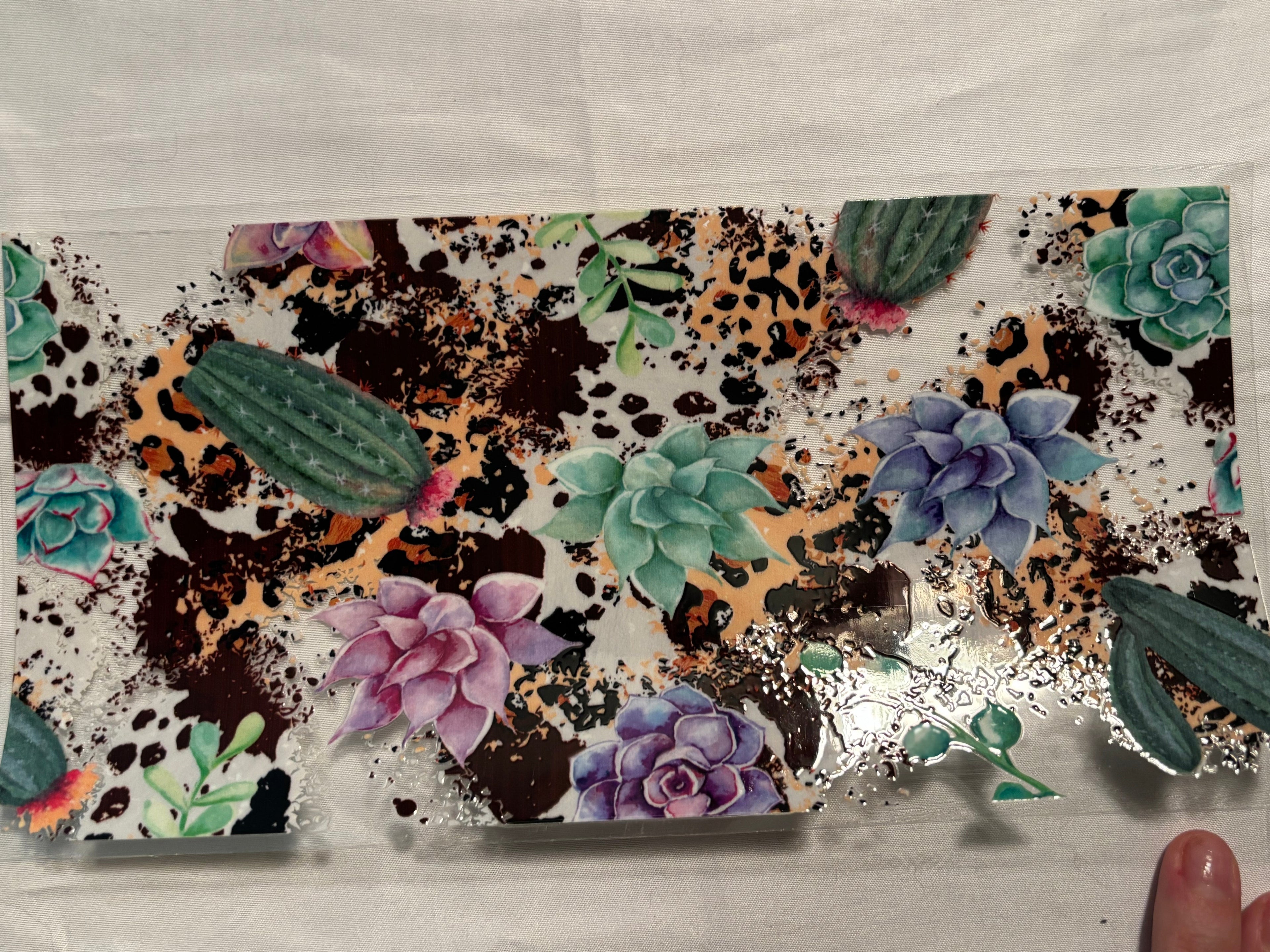 Cactus and Flowers