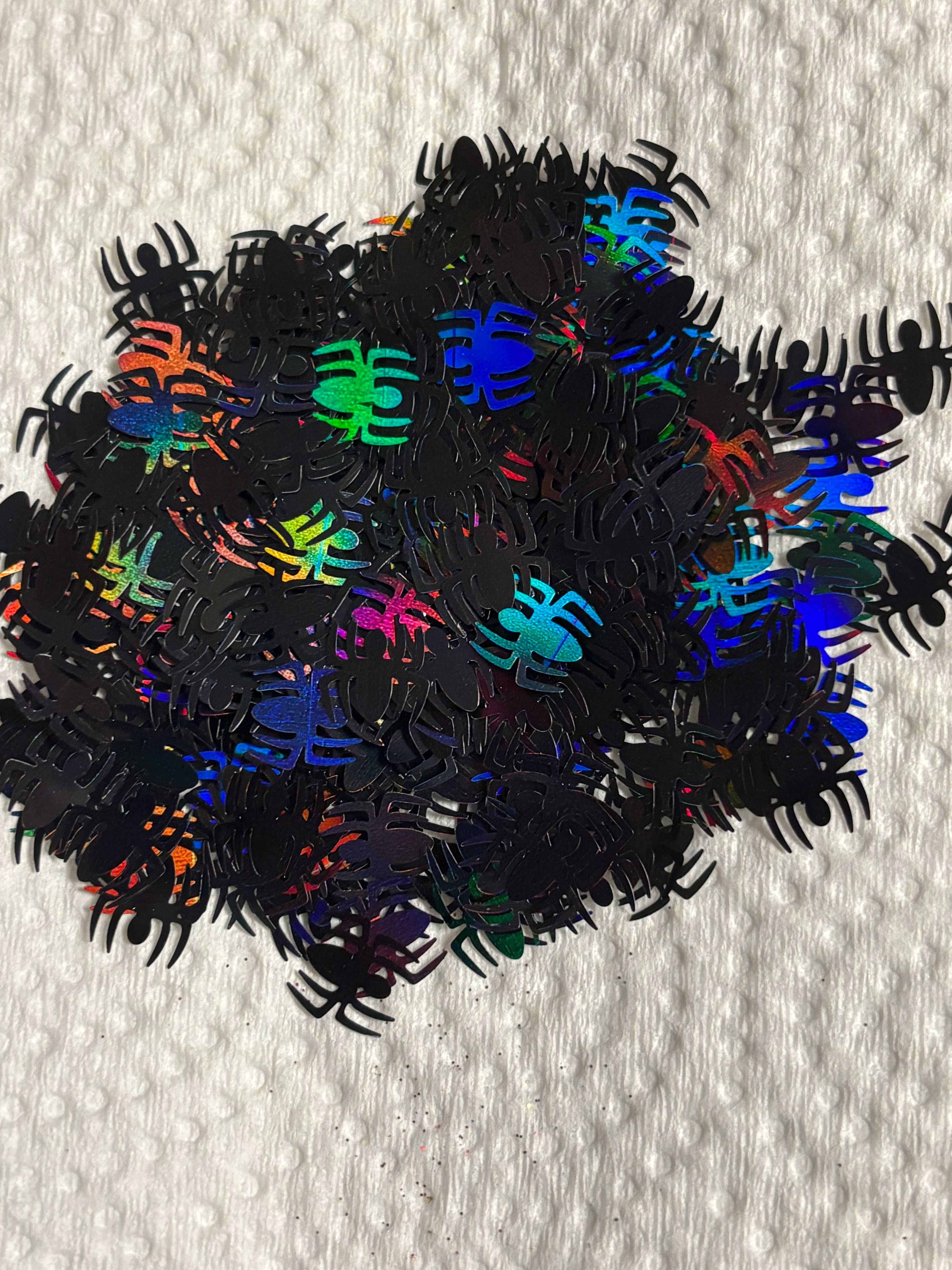Spiders